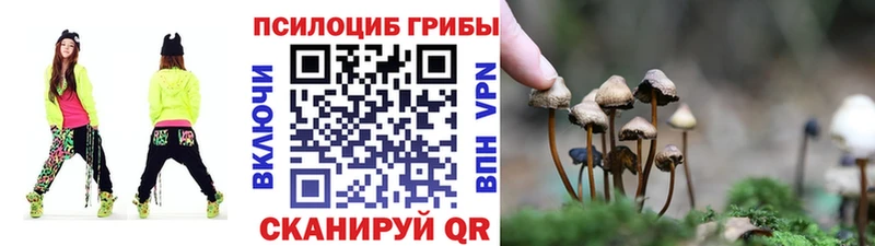 Галлюциногенные грибы Psilocybe  Купить закладки  Верхотурье 