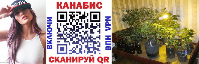 Каннабис MAZAR Верхотурье